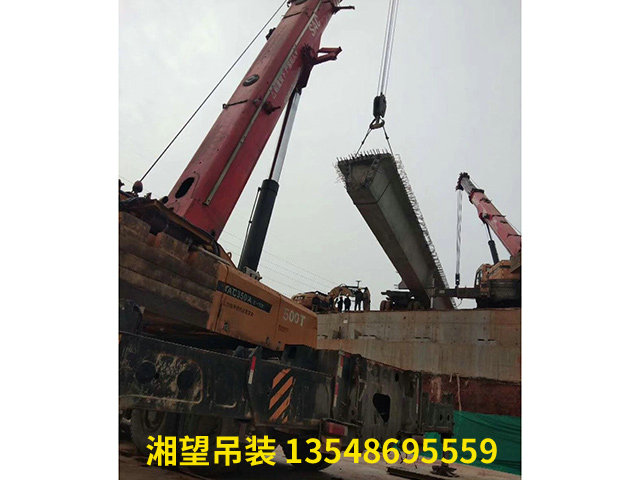 設備起重吊裝 (5)